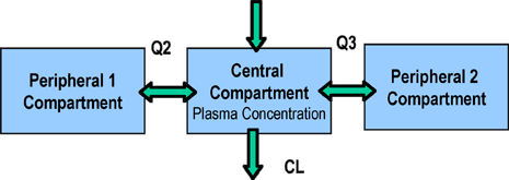 Pharmacokinetic Model